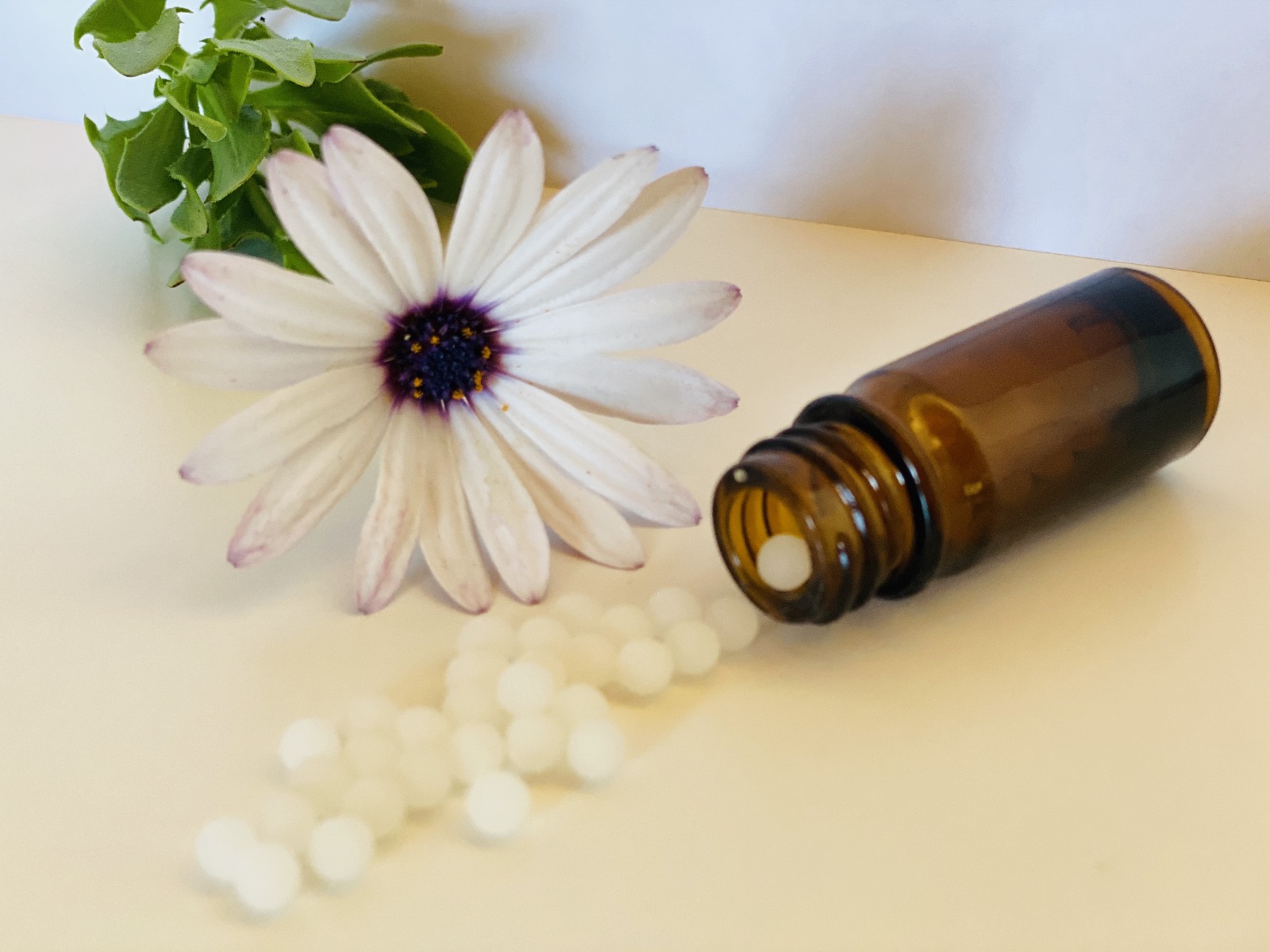 Homeopathy practice in Aljezur Portugal